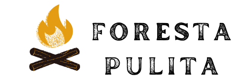 Foresta pulita